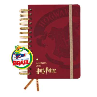 Agenda 2025 Harry Potter