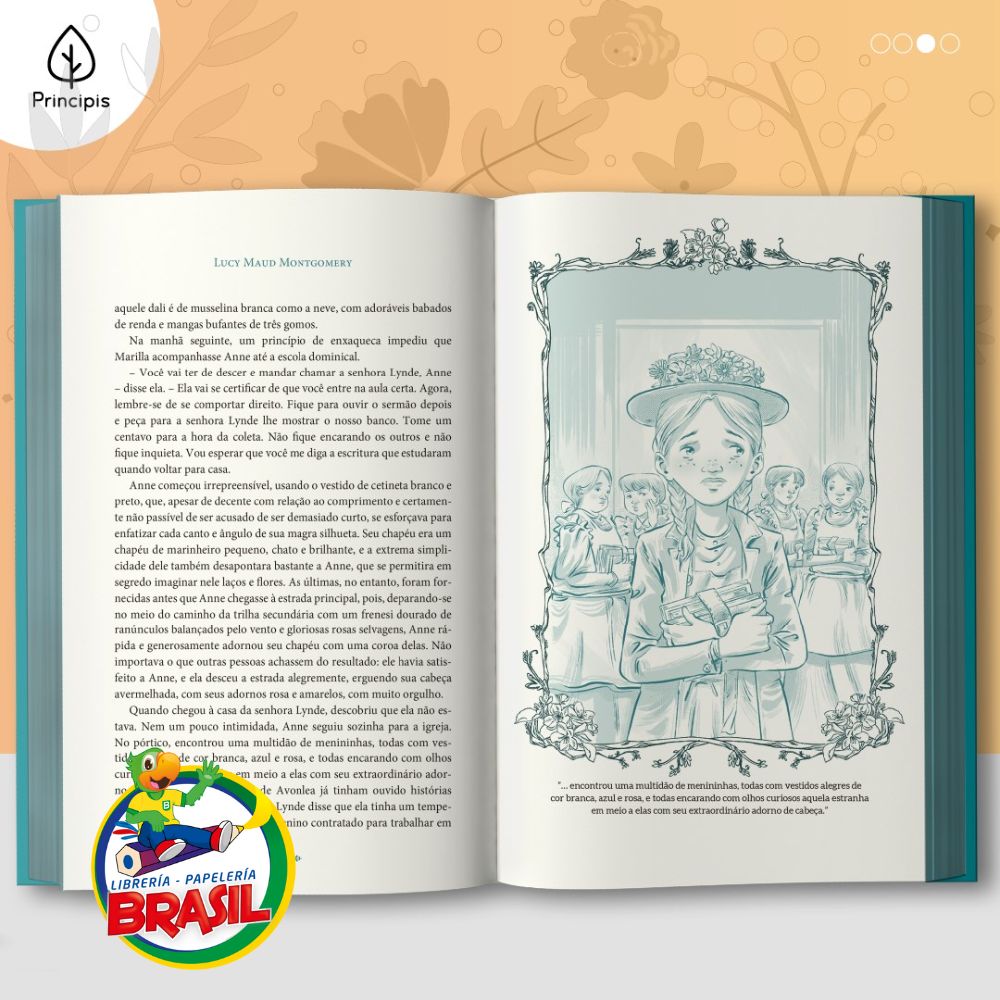 Encontra en Librería- Papelería Brasil los mejores libros infantil, novelas, romance,drama etc, Para todos los amantes de la cultura Brasilera esto libros te encantarán.