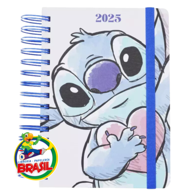 Agenda 2025 Stitch