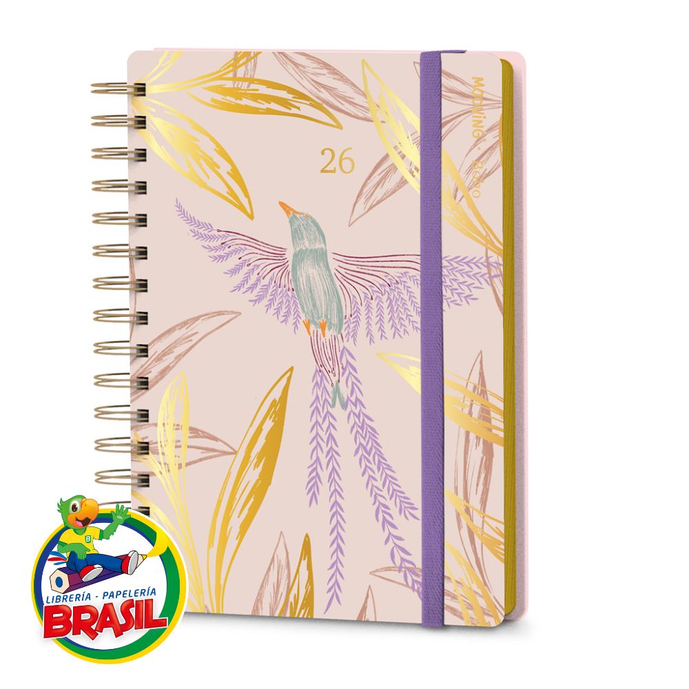 Agenda Escolar 2019-2020 A6 Dohe Día Por Página Pastel Verde - Agenda