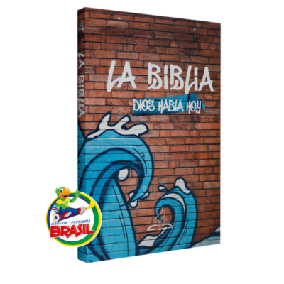 Santa Biblia tapa Blanda Reina valera